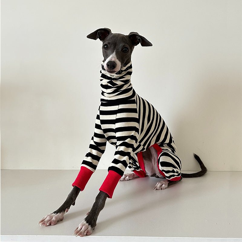Dog Cotton Onesie Striped Pure Cotton Whippet Greyhound Sizes 1–10 Four-Leg Jumpsuit Iggy Outfit | Koossa